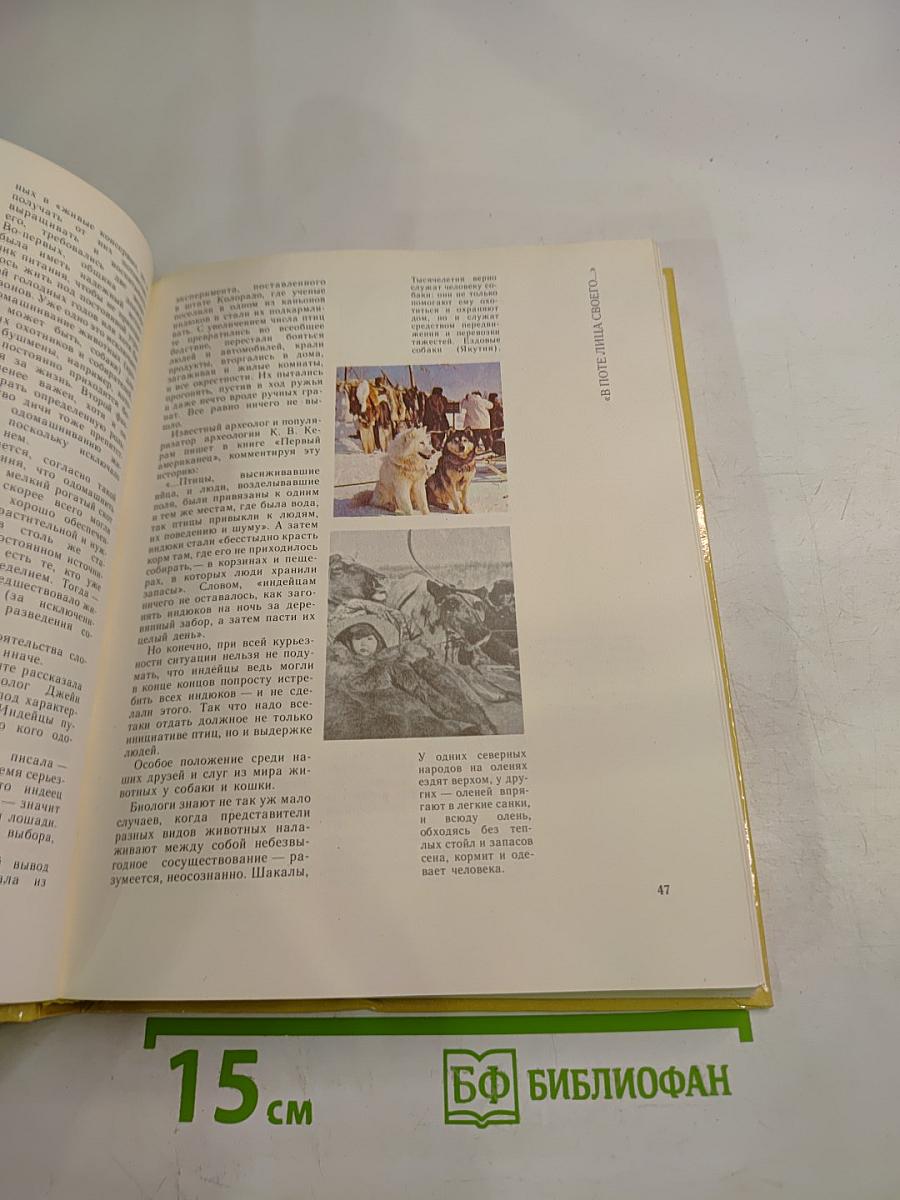 Создано человечеством