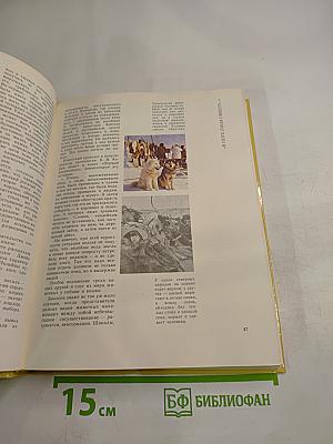 Создано человечеством