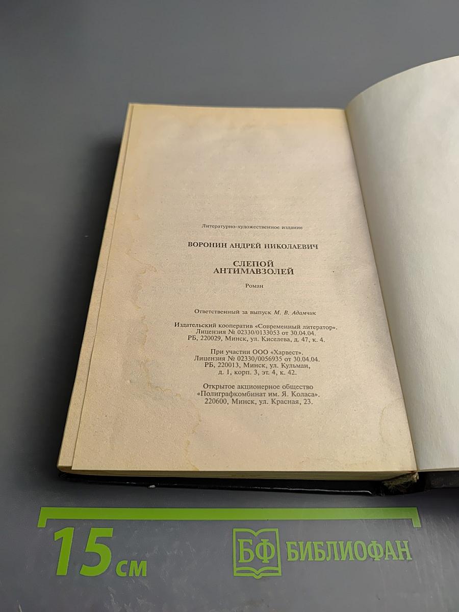 Слепой. Антимавзолей