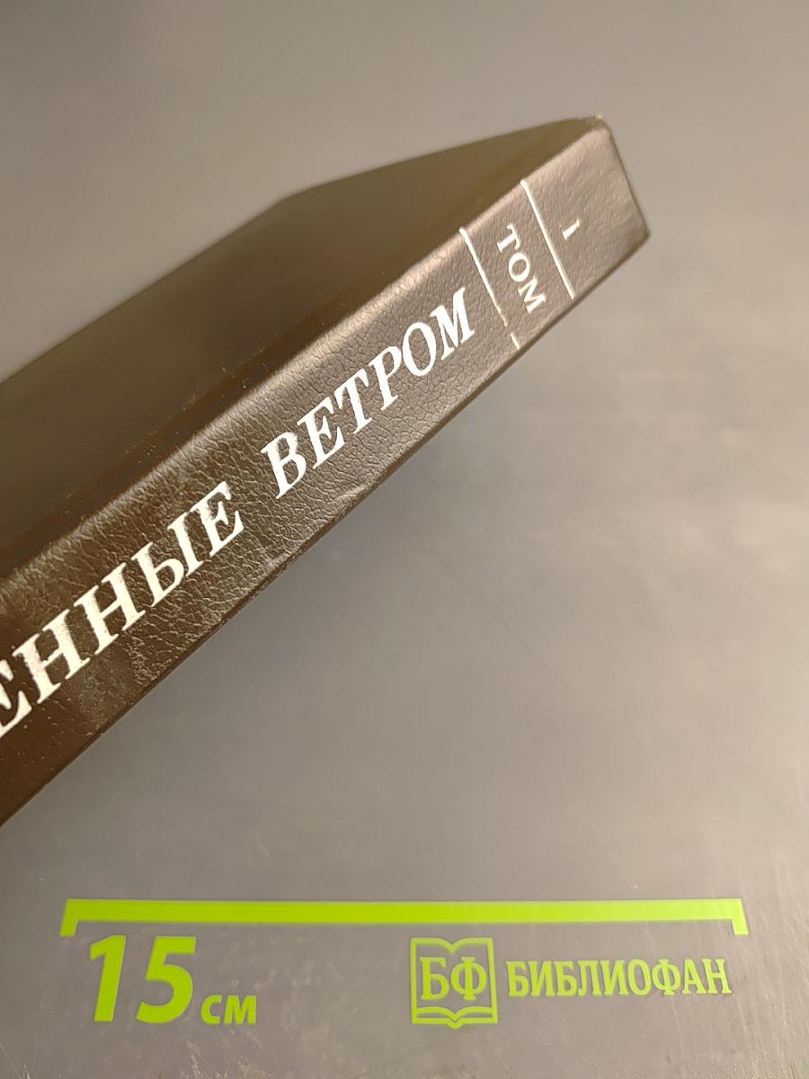 Унесенные ветром. Роман. Том 1