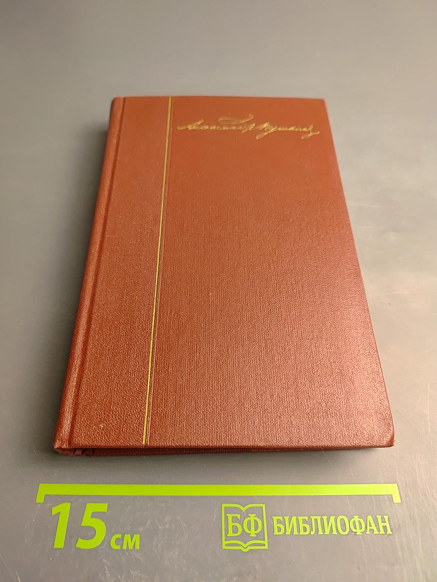 Собрание сочинений. Том 8: История Петра I. Записки бригадира Моро-де-Бразе