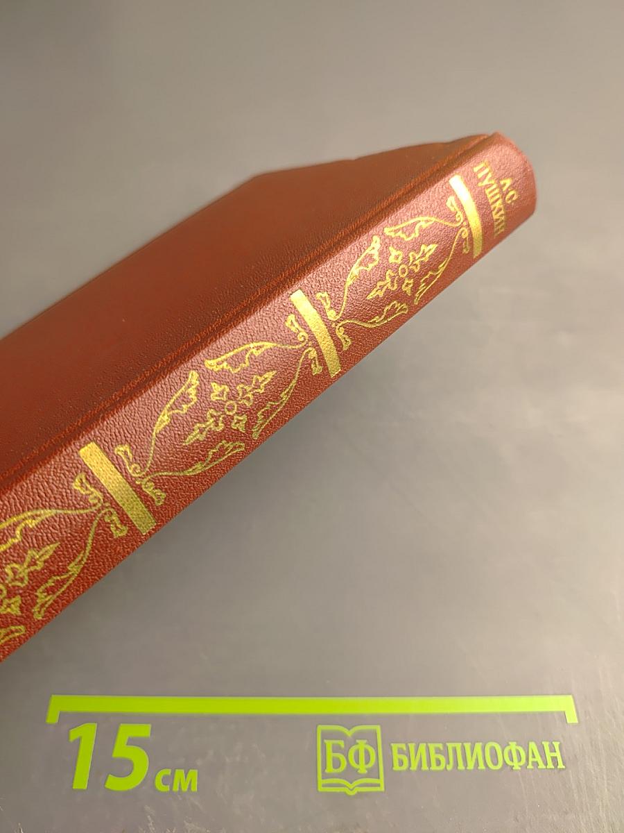 Собрание сочинений. Том 8: История Петра I. Записки бригадира Моро-де-Бразе