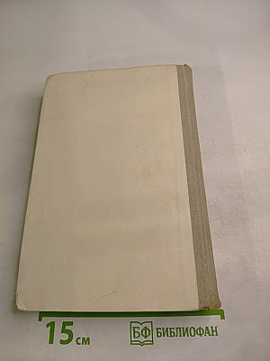 Русская литература. Учебник для 9 класса