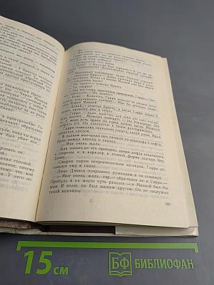 Блюститель закона