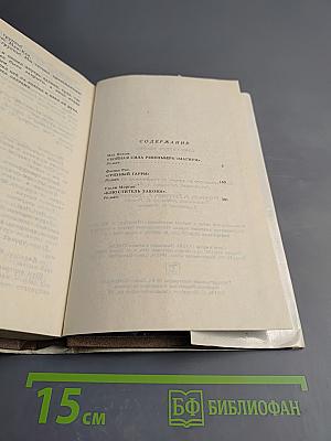 Блюститель закона