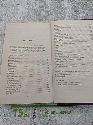 Царь Соломон и его жены