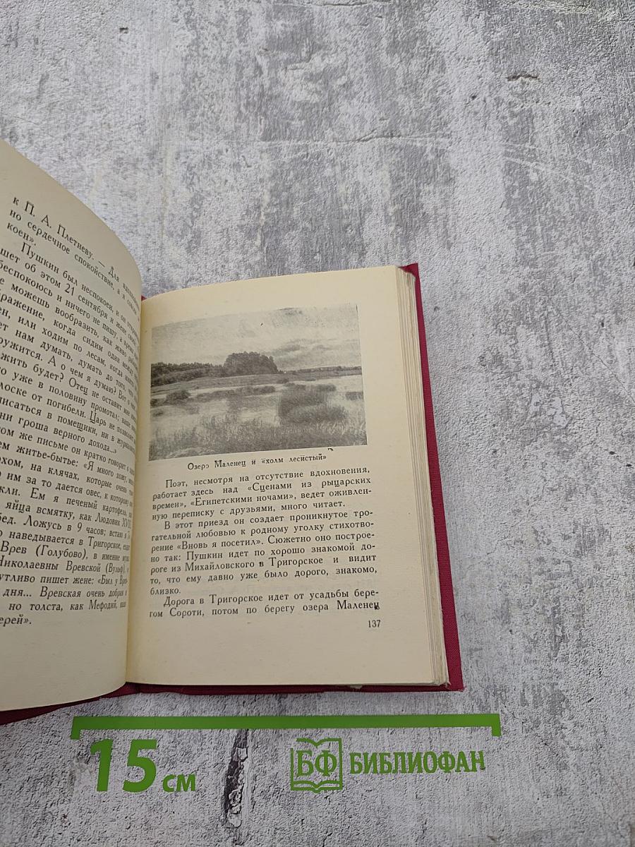 По Пушкинскому заповеднику