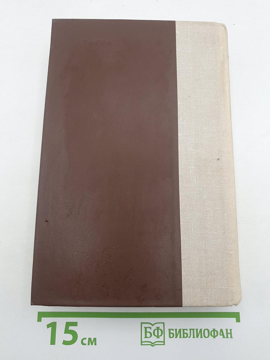 Россия молодая. Книга вторая