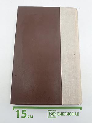 Россия молодая. Книга вторая