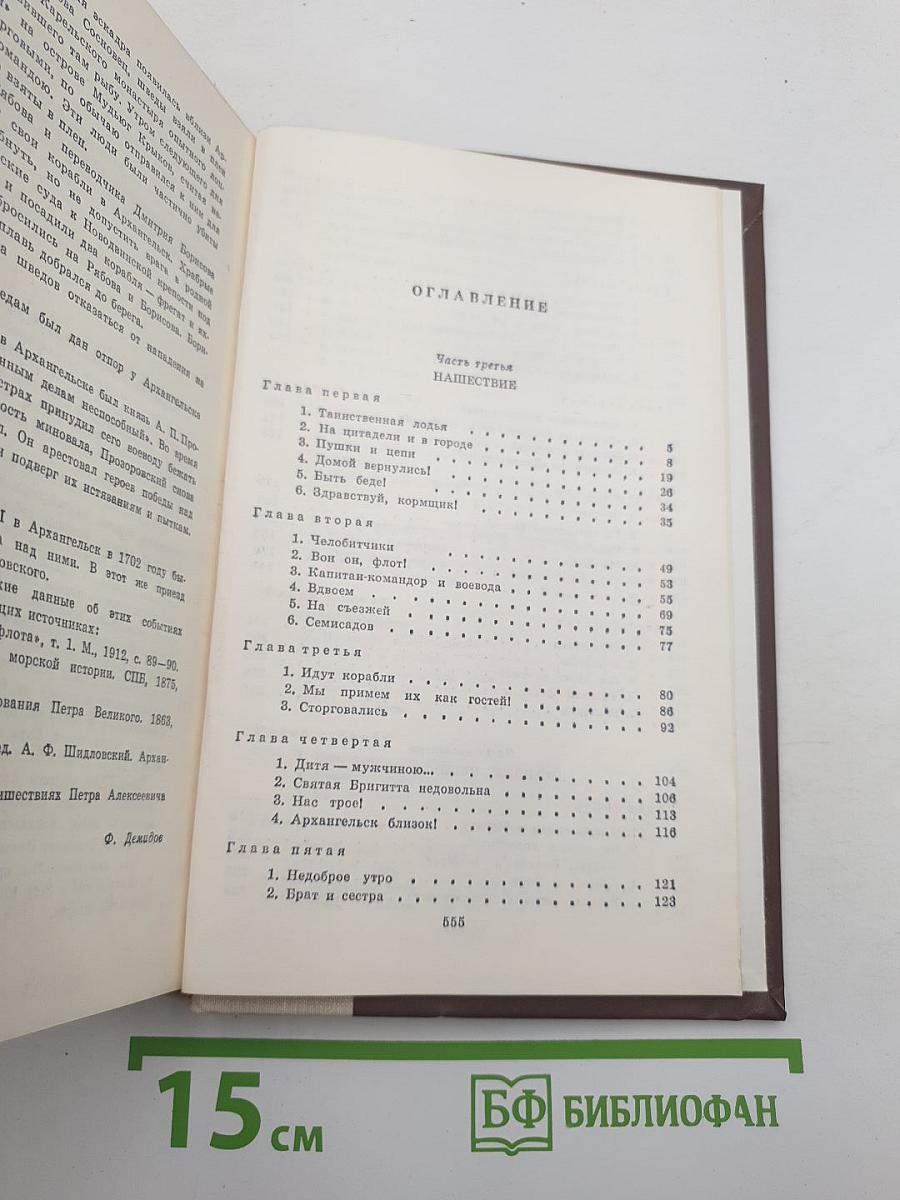 Россия молодая. Книга вторая