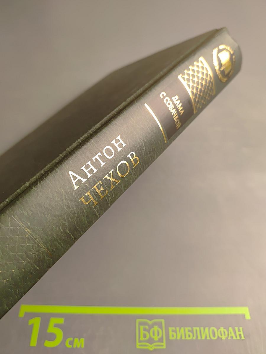 Дама с собачкой: Рассказы