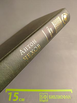 Дама с собачкой: Рассказы