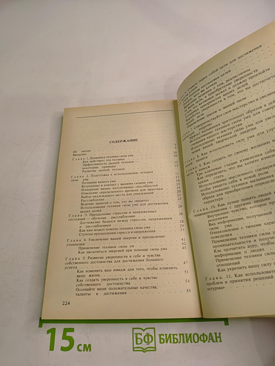 Сила ума. Описание пути к успеху в бизнесе. Выпуск I