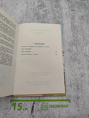 Графиня Козель