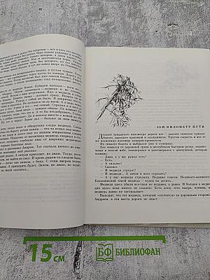 Здравствуй, Мишка!