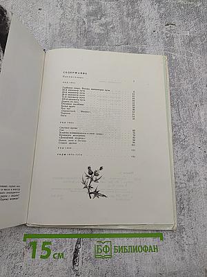 Здравствуй, Мишка!