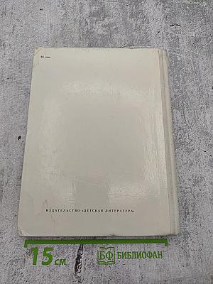 Здравствуй, Мишка!