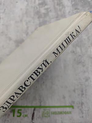 Здравствуй, Мишка!