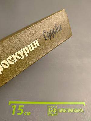 Судьба. Дилогия. Роман первый