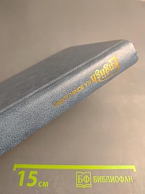 Английский язык. Курс для начинающих