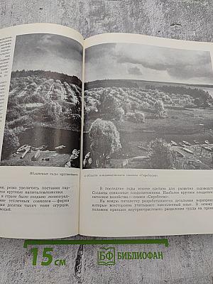 Достопримечательности Ленинградской области