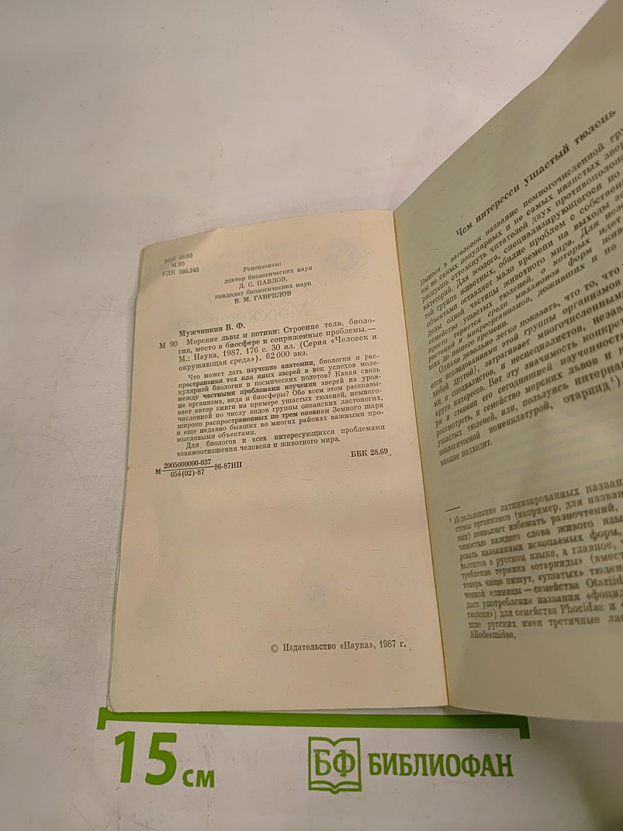 Морские львы и котики