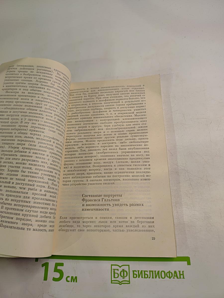 Морские львы и котики