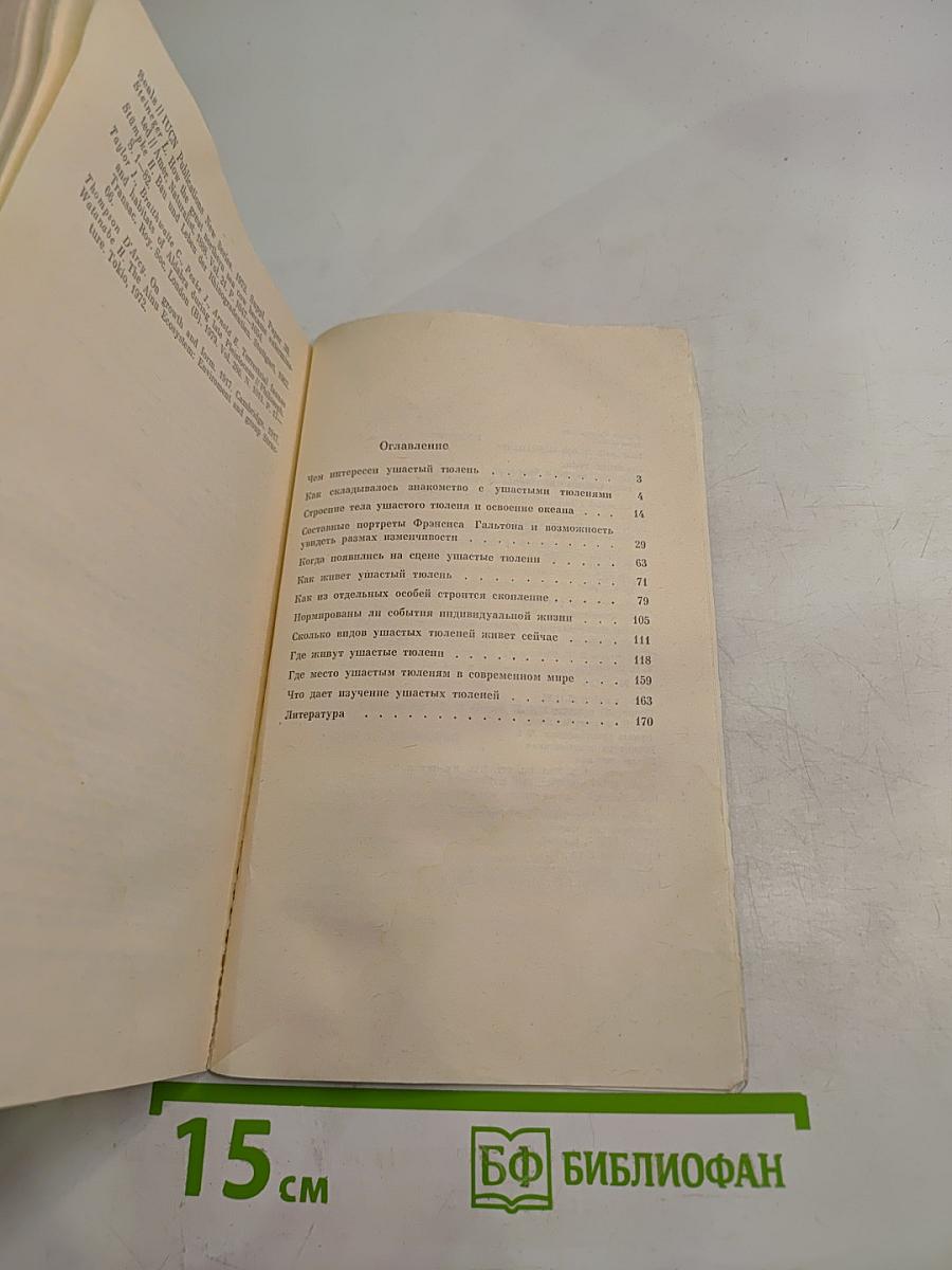 Морские львы и котики