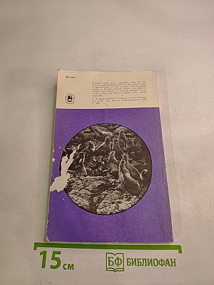 Морские львы и котики