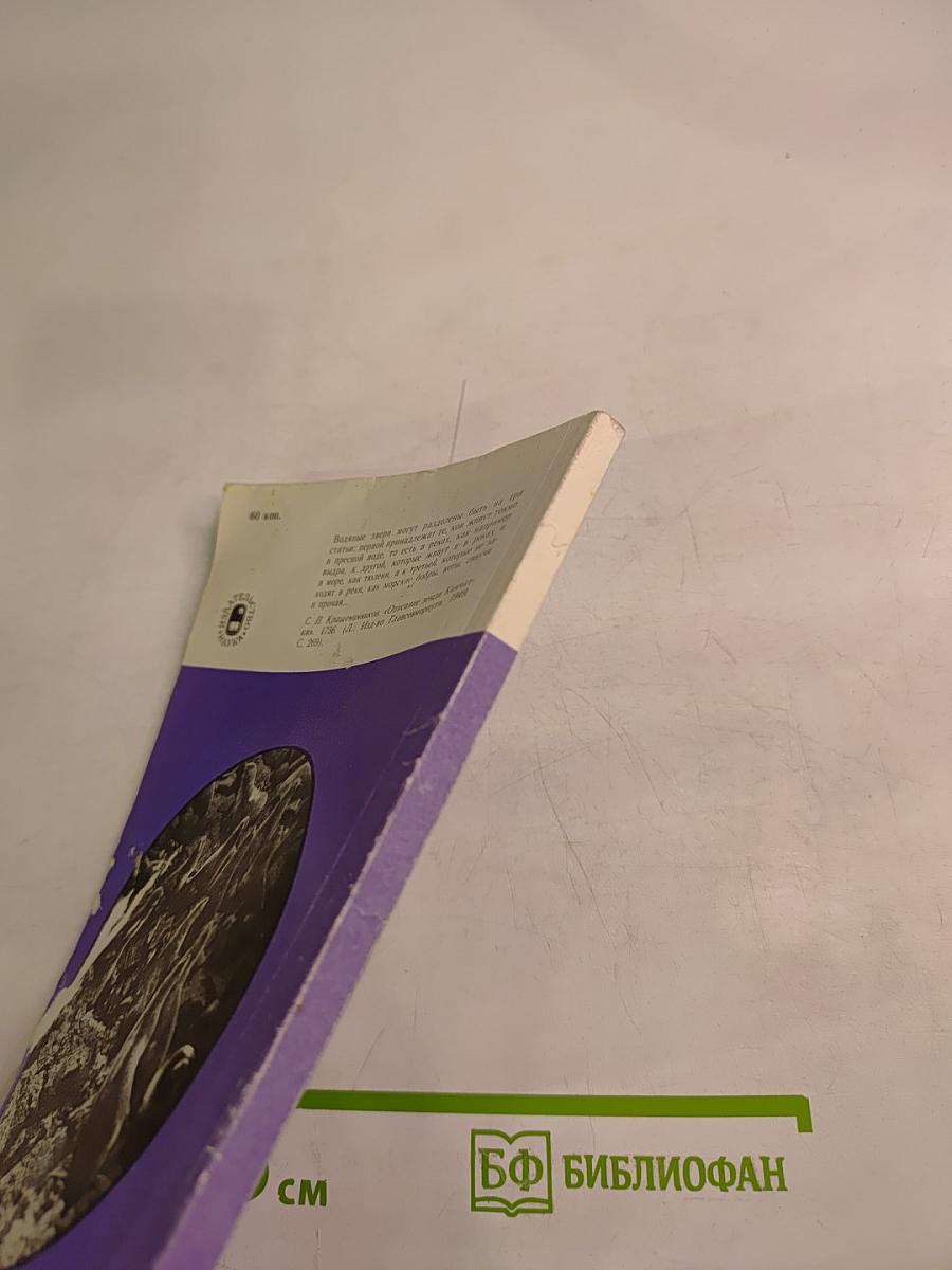 Морские львы и котики