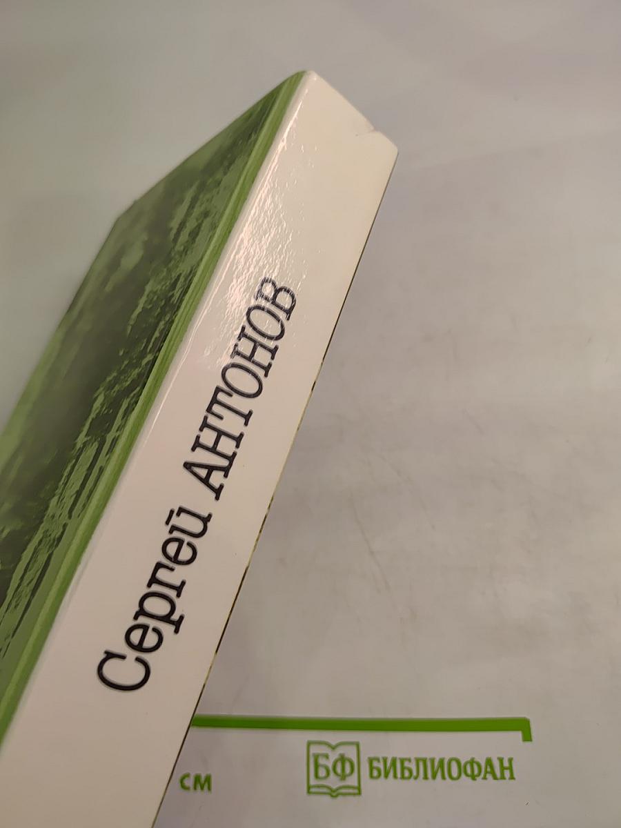 Царский двугривенный. Овраги. Васька