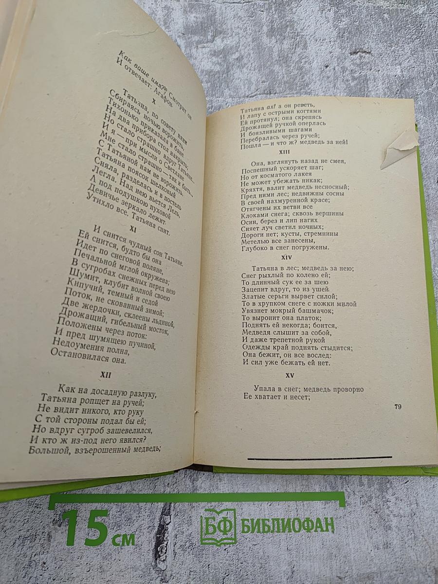 Евгений Онегин. Кавказский пленник