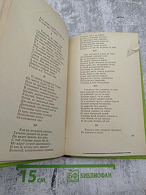 Евгений Онегин. Кавказский пленник