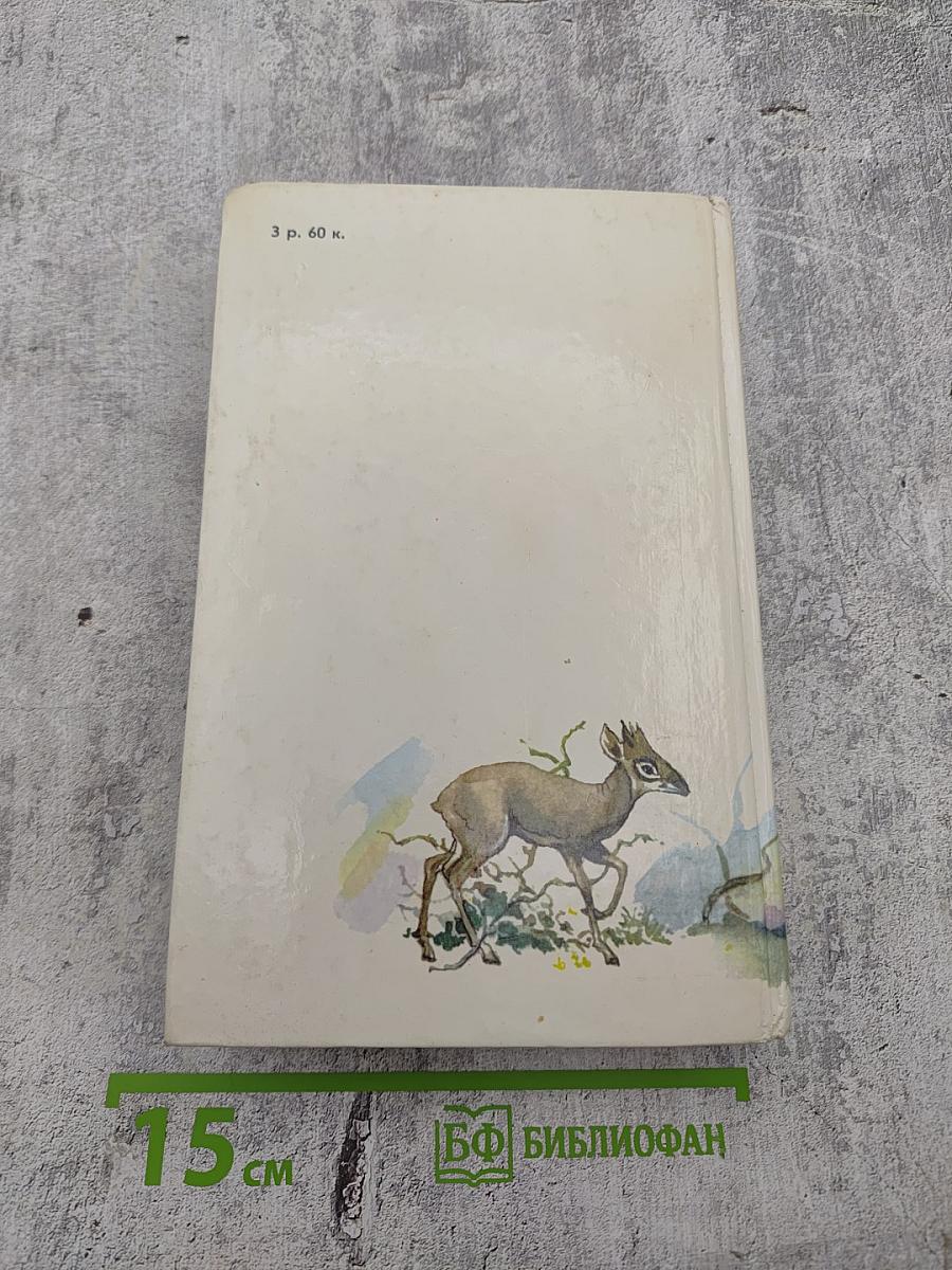 Под пологом пьяного леса