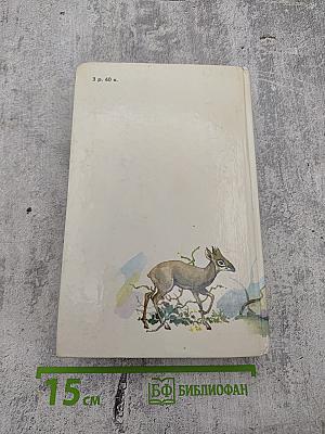 Под пологом пьяного леса