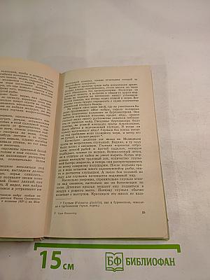 Волна за волной