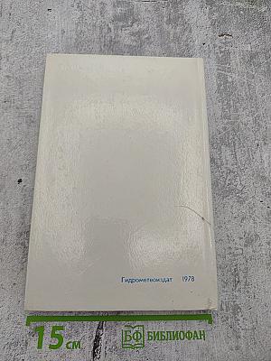 Будущее – океан