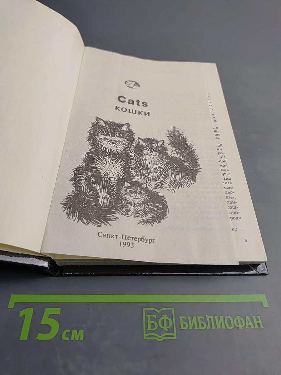Cats Кошки