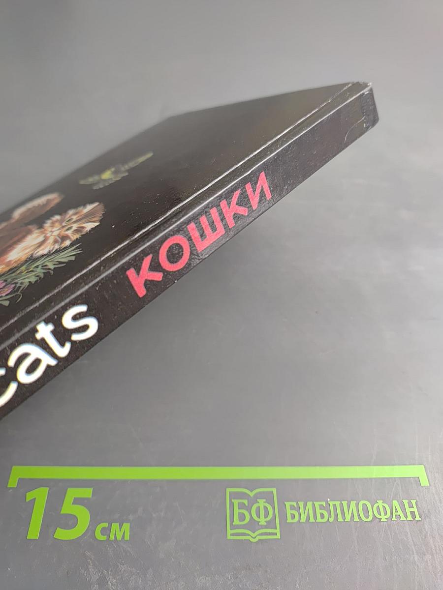 Cats Кошки