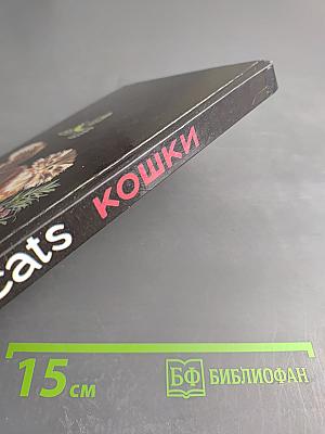 Cats Кошки