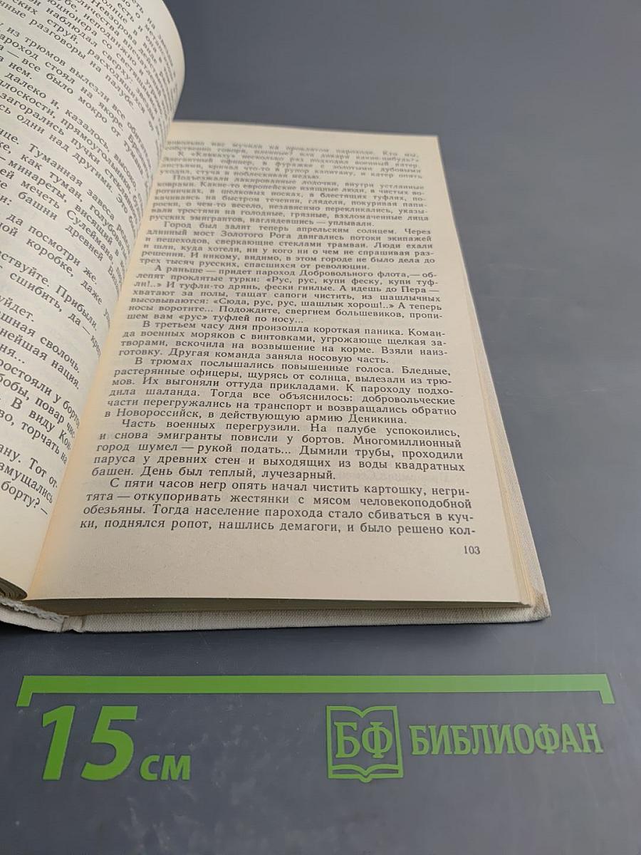 Русская советская сатирическая повесть. 20-е годы