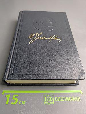 Полное собрание сочинений. Том 22