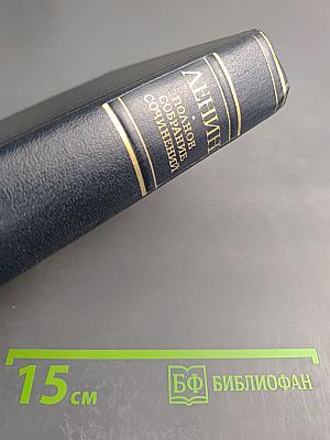 Полное собрание сочинений. Том 22