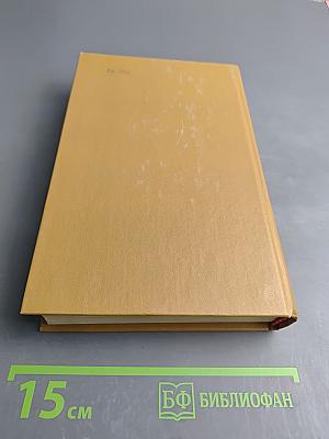 Дневник партизанских действий 1812 г. / Записки кавалерист-девицы