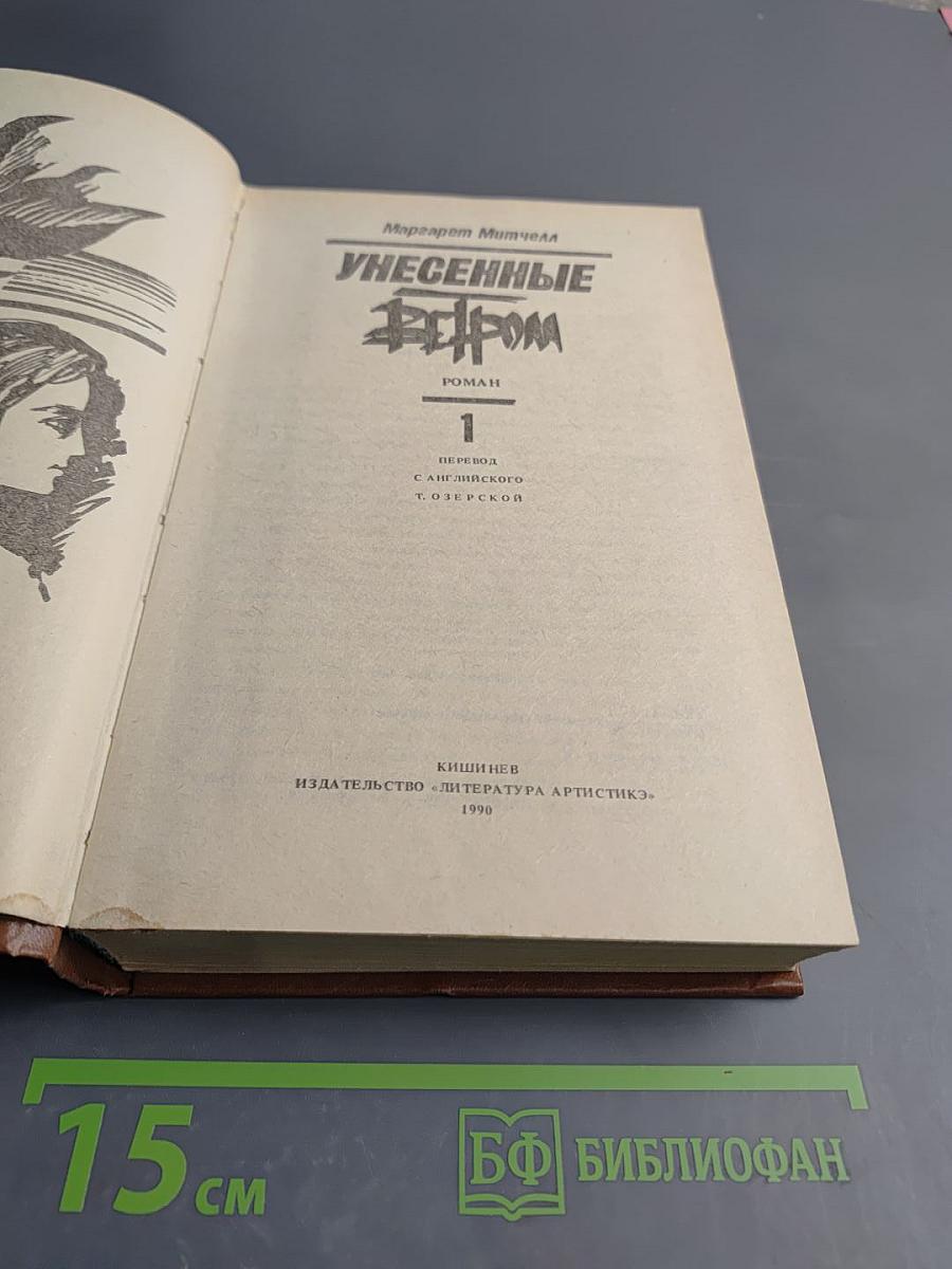 Унесенные ветром. Том 1