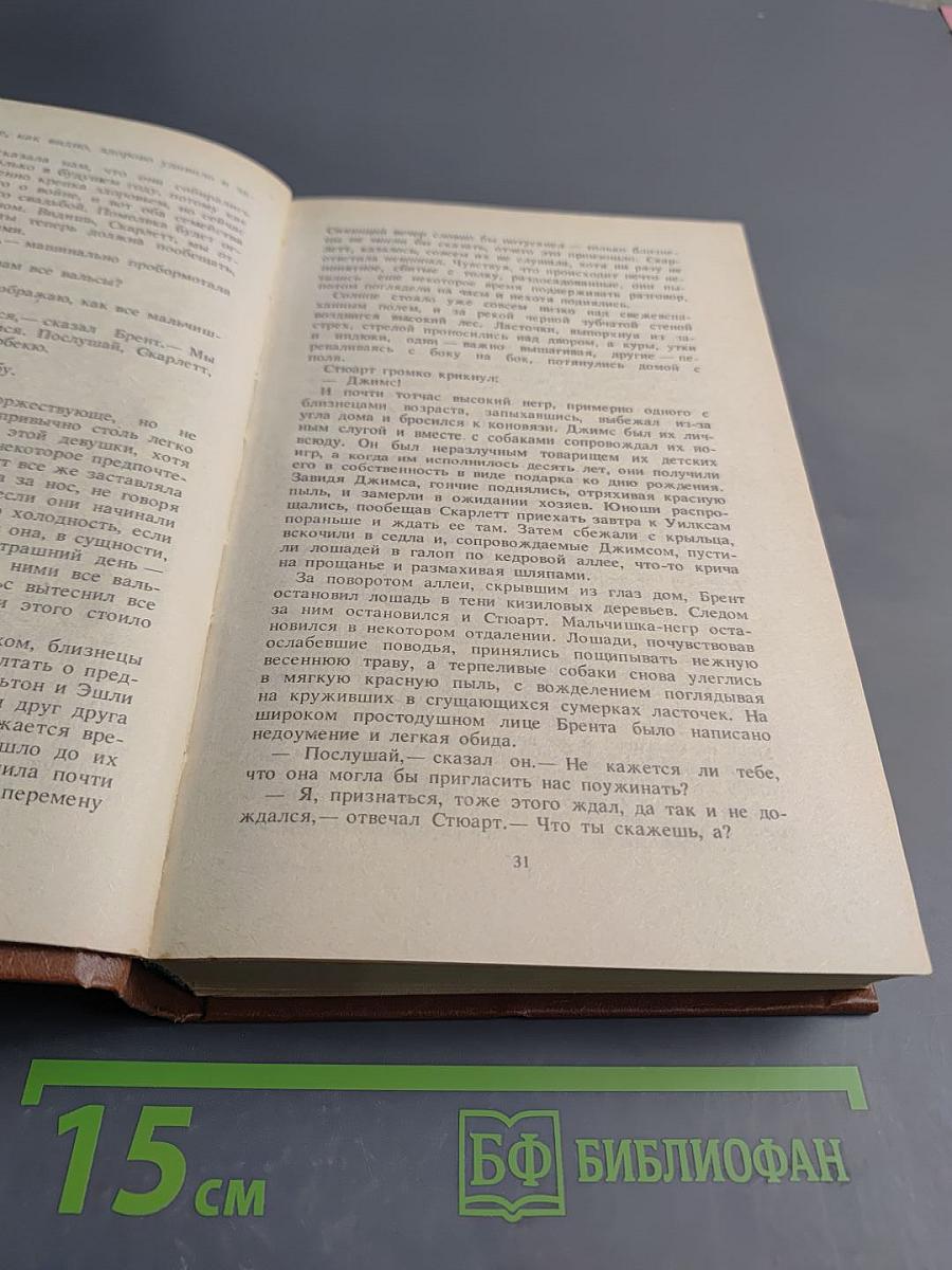 Унесенные ветром. Том 1