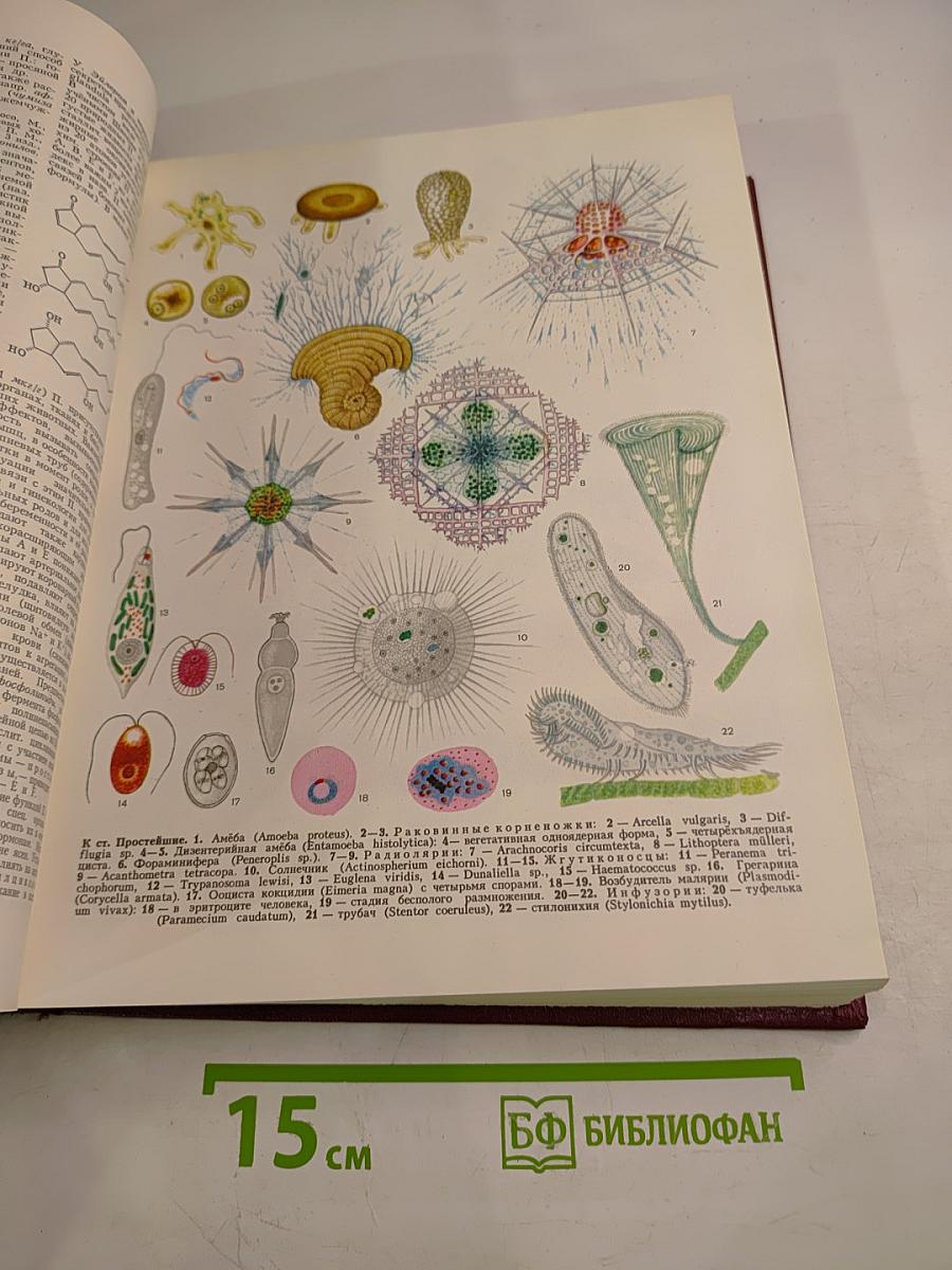 Большая Советская Энциклопедия. Том 21. Проба – Ременсы