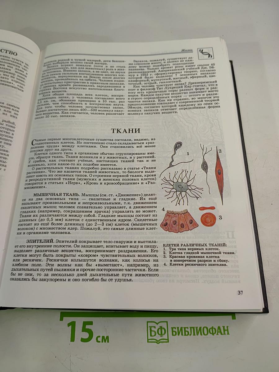 Энциклопедия для детей. Биология. Том 2