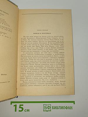 Приключения Гекльберри Финна