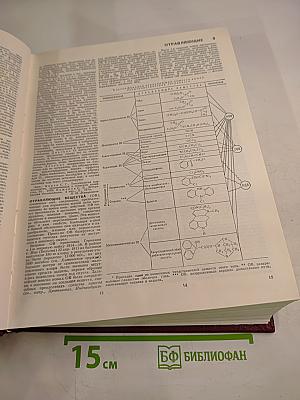 Большая Советская Энциклопедия. Том 19: ОТОМИ - ПЛАСТЫРЬ